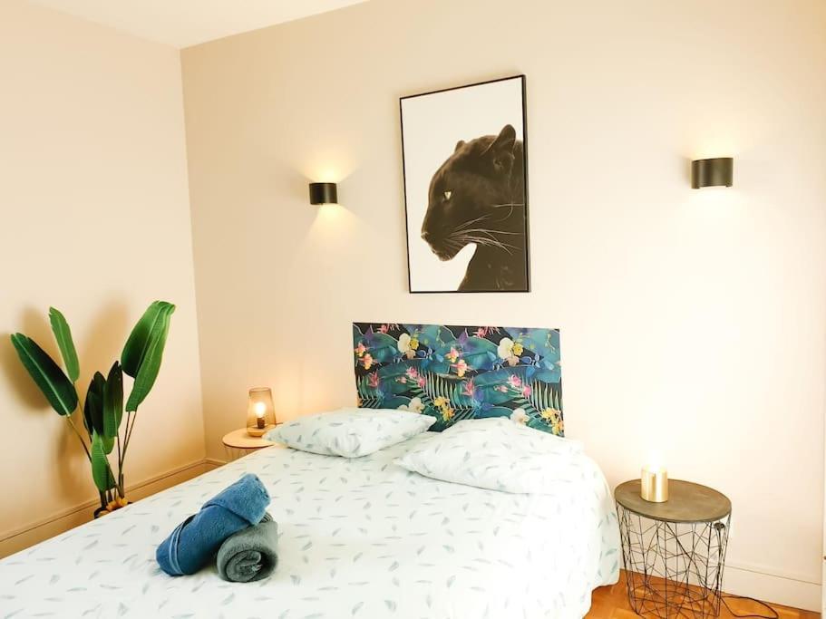 Cosy Mure 4Ch - Stationnement Gratuit Pau Eksteriør billede